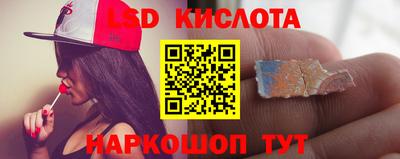 spice Свободный