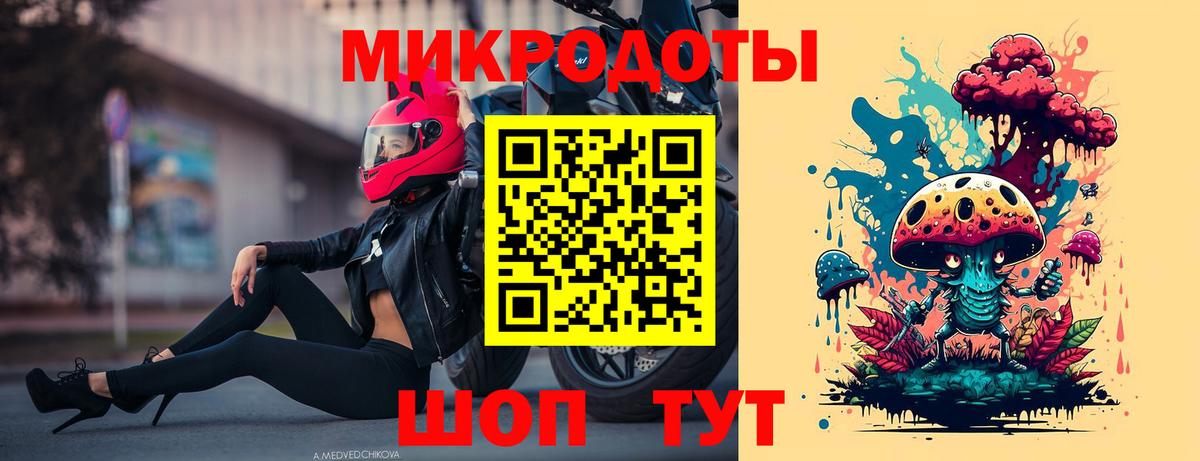 Галлюциногенные грибы Psilocybe Новодвинск